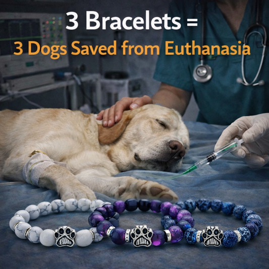 3 Lives Saved — Impact Bracelet Set