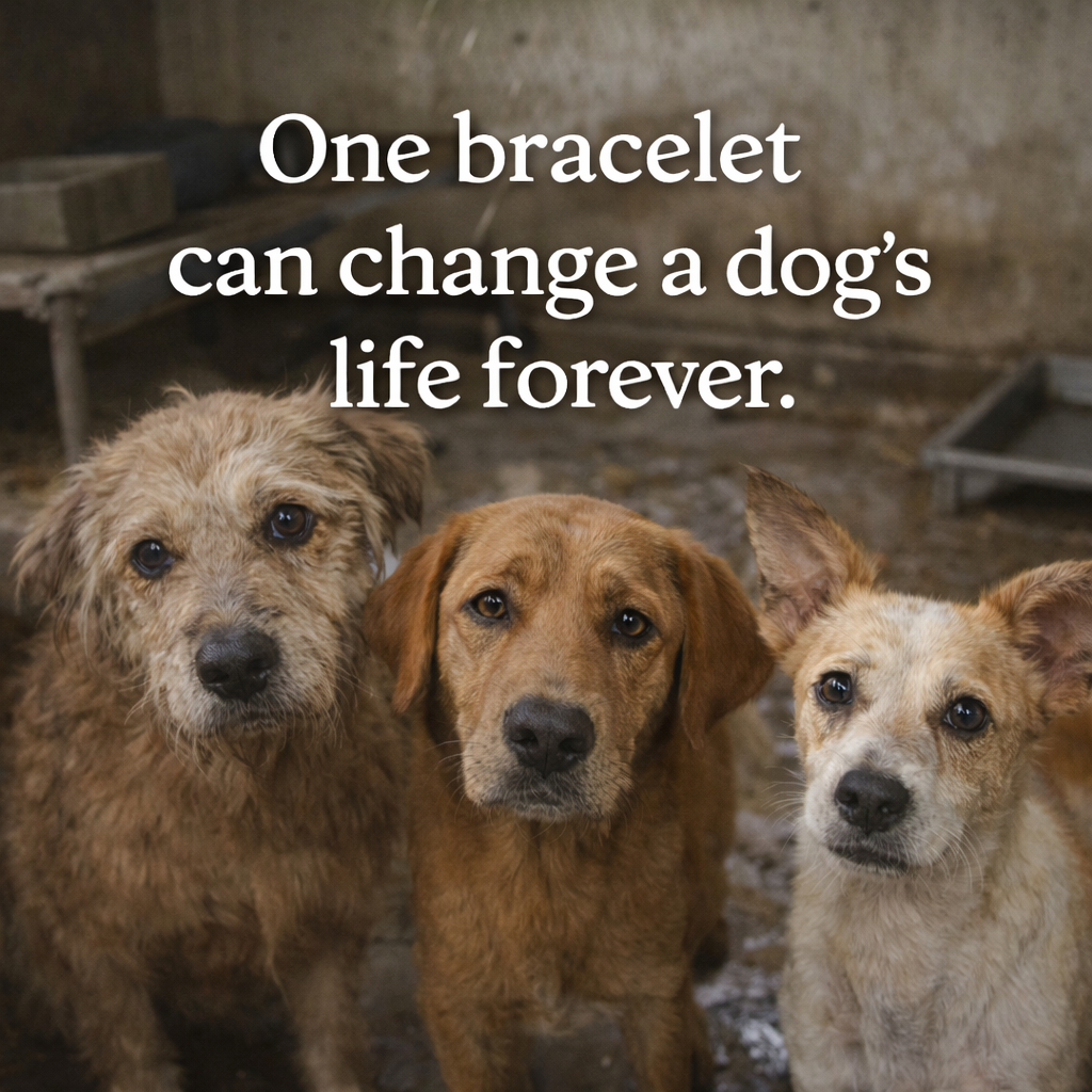 Rescue Dog Bracelet – Wear the Dog You Saved