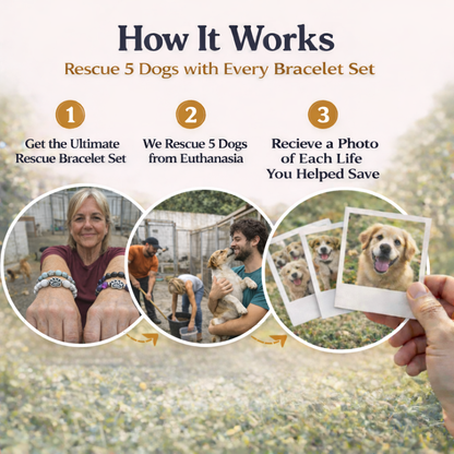5 perros rescatados: el mejor set de pulseras de rescate