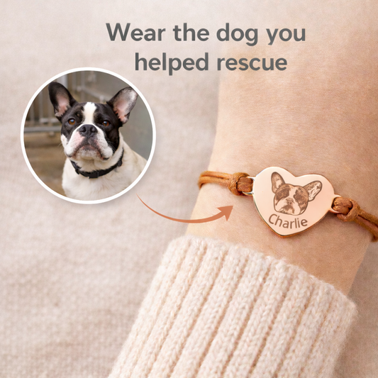 Rescue Dog Bracelet – Wear the Dog You Saved