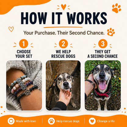 5 perros rescatados: el mejor set de pulseras de rescate