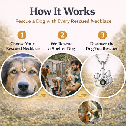 Second Chance Necklace™