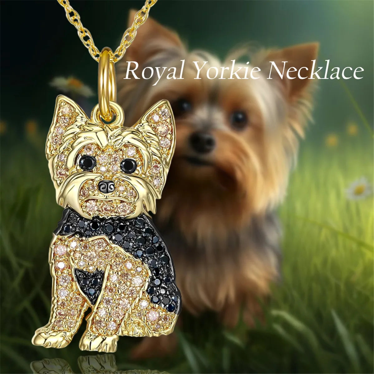 Collar de Yorkshire Terrier dorado