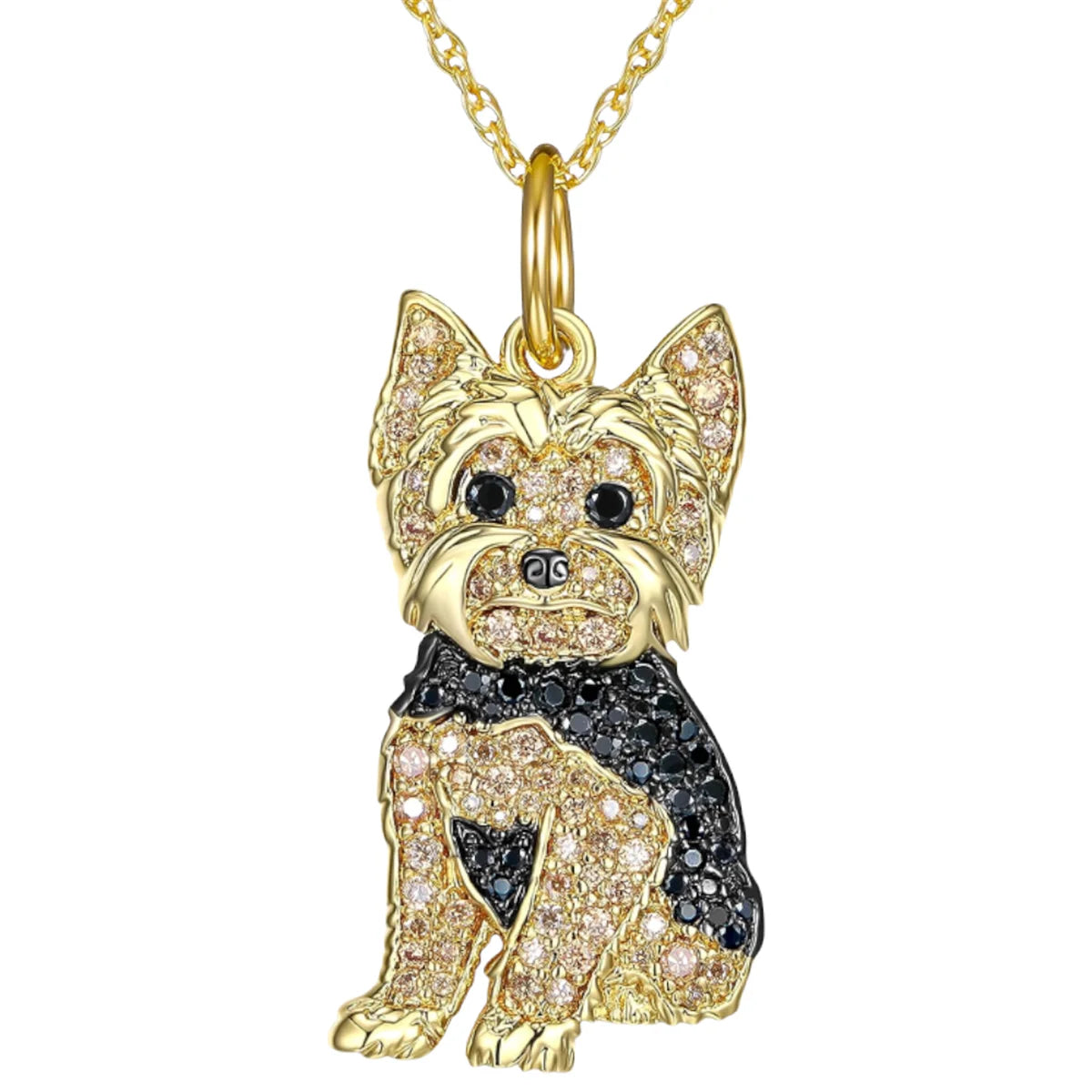 Collar de Yorkshire Terrier dorado